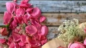 С днем рождения подруге - Поздравление с днем рождения подруге #сднерожденияподруга #подруга