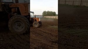 т 25: боронит картошку навесной сцепкой