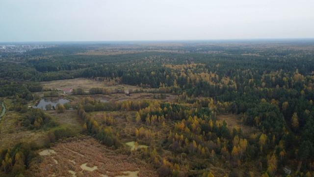 Октябрь 2024 (полёт на квадрокоптере) || Окрестности нашего района