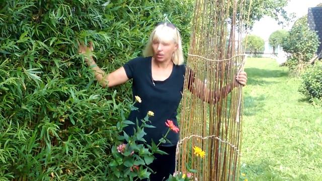 Уход за живой изгородью из ивы смотреть онлайн