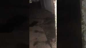 Москвич 411:продажа