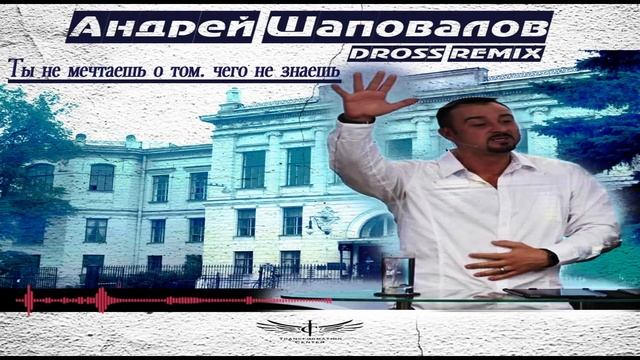 Андрей Шаповалов - Ты не мечтаешь о том  чего не знаешь (DROSS REMIX)