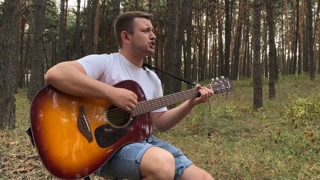 ГОП-СТОП ЗЕЛЕНЬ (армейская под гитару) / Парень круто исполнил легендарную армейскую песню!!! смотреть онлайн