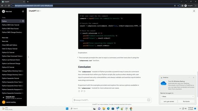 python cmd command execute