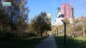 Удобные лестницы, пандусы, лавочки и новое освещение появилось в Лопатинском овраге