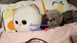 Вещи моих басиков