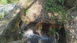 крыница Св.Пантелеймона. Оршанский р-н