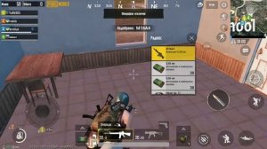 Чисто играю в пабг с рандомами)