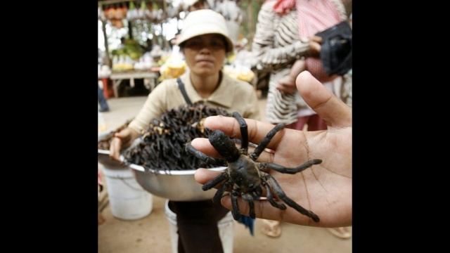 Самая необычная и странная еда в мире . The most unusual and strange food in the world
