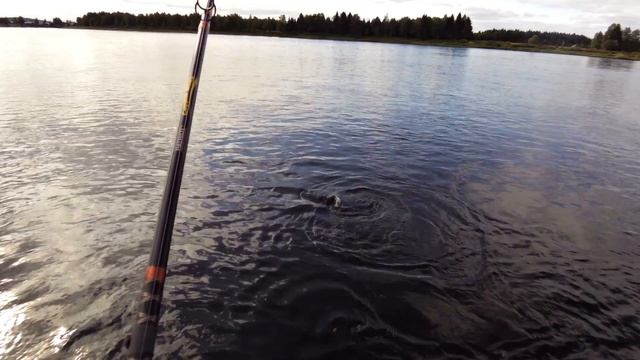 Laxfiske Torneälv 16,54kg смотреть онлайн