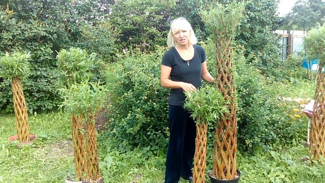 Уход за живыми плетенными деревьями - Часть 2 смотреть онлайн