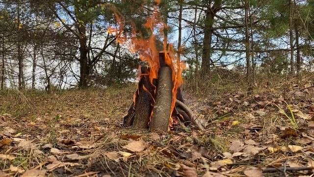 Про психологию