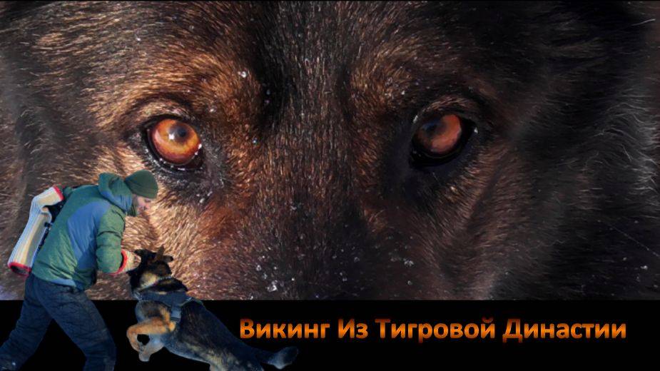 Викинг Из Тигровой Династии. Защита.