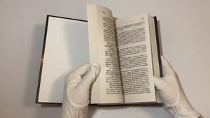 Дневной Дозор