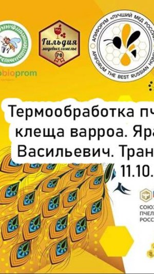 Термообработка пчелиных семей от клеща варроа. АпиФорум 2024. Яранкин В.В. Трансляция (11.10.24)