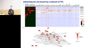 CCMB Seminar 12/13/2016 - Victor Jin, PhD