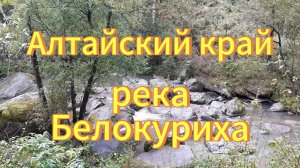 Река Белокуриха Алтайский край природа осенью.