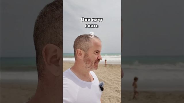 Английский на слух. Урок английского по предложениям