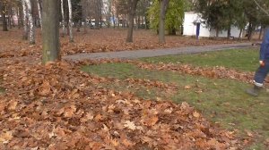 Уборка листьев в парке.