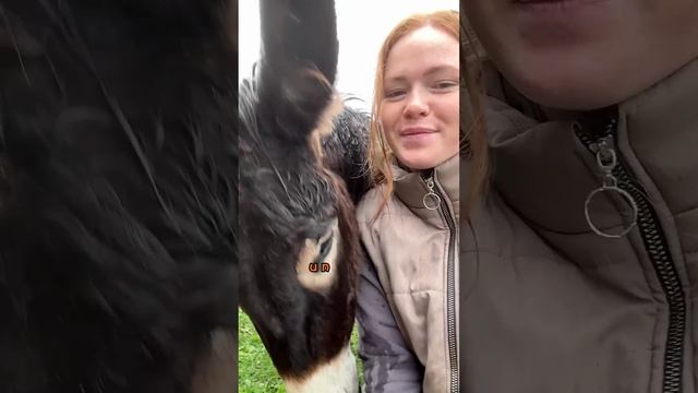 КАК Я СТАЛА РЫЖИМ ФЕРМЕРОМ И ПОЧЕМУ ПЕРЕЕХАЛА В ДЕРЕВНЮ