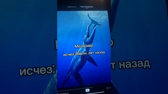древние  животные