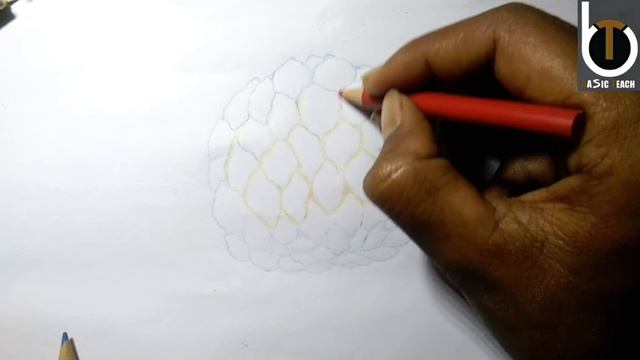 Custard apple drawing?lशरिफा का चितृ कैसे बनाए|STEP BY STEPl🤗🙏l смотреть онлайн
