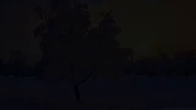 ableton live 10 смотреть онлайн