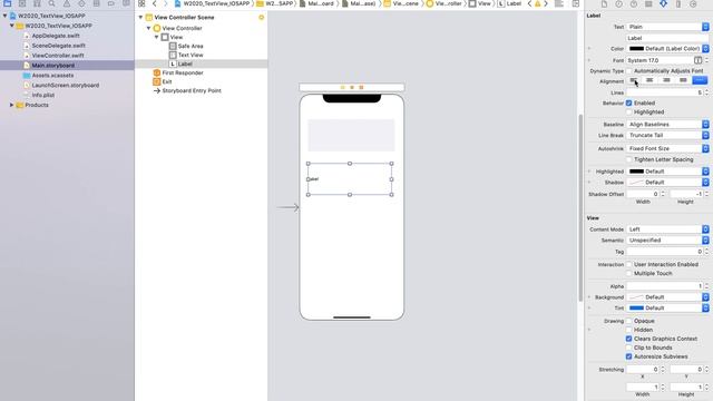 TextView IOS APPLICATION DEVELOPMENT