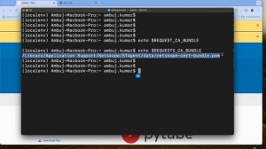 SSL: CERTIFICATE_VERIFY_FAILED error in Python.NO_CERTIFICATE_OR_CRL_FOUND SSL certificate not foun