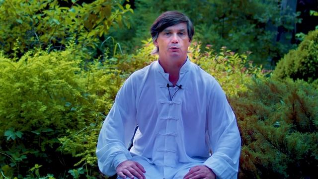 Можно ли обучать Тайцзи и Цигун онлайн | Почему Тайцзи нет в ММА смотреть онлайн