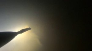 подводная охота 2024 белый амур, сазан, судак.