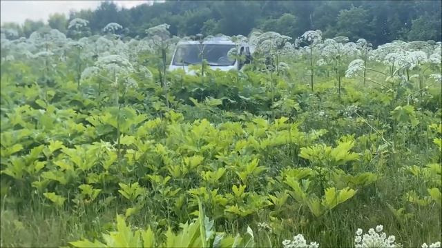 ТЕСТ ПО БЕЗДОРОЖЬЮ. ГАЗ Садко NEXT груженый с прицепом. смотреть онлайн