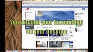 How to take a ScreenShot in Mac OS X