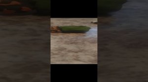 Джекс и Билли знакомство