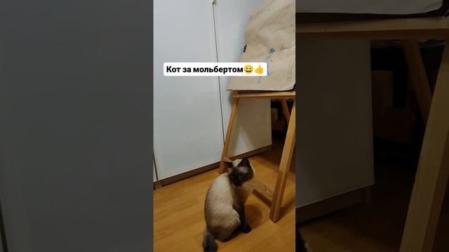 Кот за мольбертом😄😄