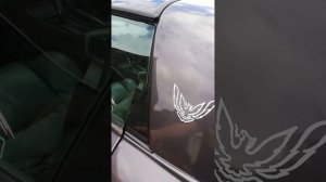 Pontiac firebird 3.4 V6 1993