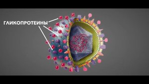 ВИЧ, СПИД, PrEP, АРВТ - самые интересные факты