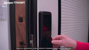 Двери Гранит Пиано СМАРТ