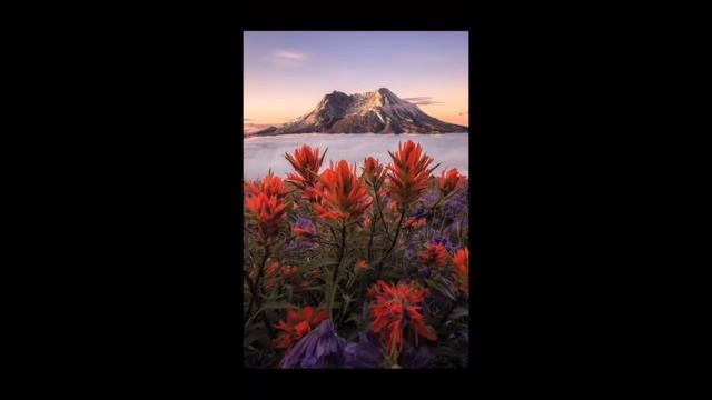 Get The Best iPhoneIOS Wallpapers 2017!