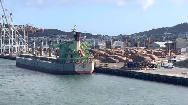 Wellington Pt 2 смотреть онлайн