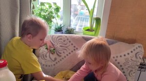 КВАСИМ КАПУСТУ/САША С СЫНОМ РАЗБИРАЮТ ЗАБОР.