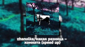 zhanulka feat. какая разница – КОМНАТА (speed up)