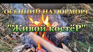 Костёр! УХА! РЫБАЛКА! НАТЮРМОРТ ! #сезонконтентаRUTUBE