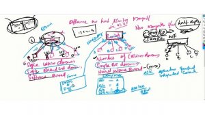 difference between hub and switch #difference between hub    and switch malayalam# CCNA#