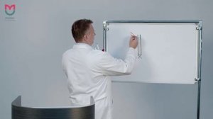 Лекция 4. Функциональная анатомия мышц конечностей