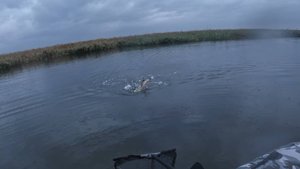 ЛЮБИТЕЛЬСКИЕ СОРЕВНОВАНИЯ ПО ЛОВЛЕ ЩУКИ НА БАЗЕ ТЕМРЮЧАНКА ТЕМРЮКСКОГО РАЙОНА