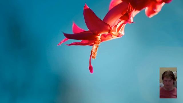 Booting Apple ][ DOS 3.3 on Apple ][ and Apple /// from the same disk?! смотреть онлайн