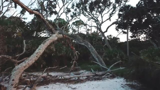 Black Rock Beach - Jacksonville, FL смотреть онлайн