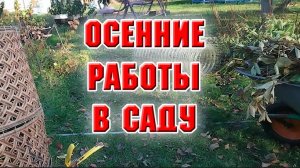 Осенние работы в саду