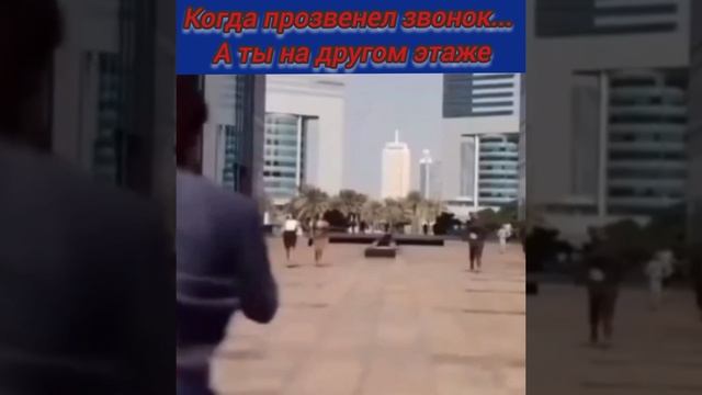 когда прозвенел звонок....